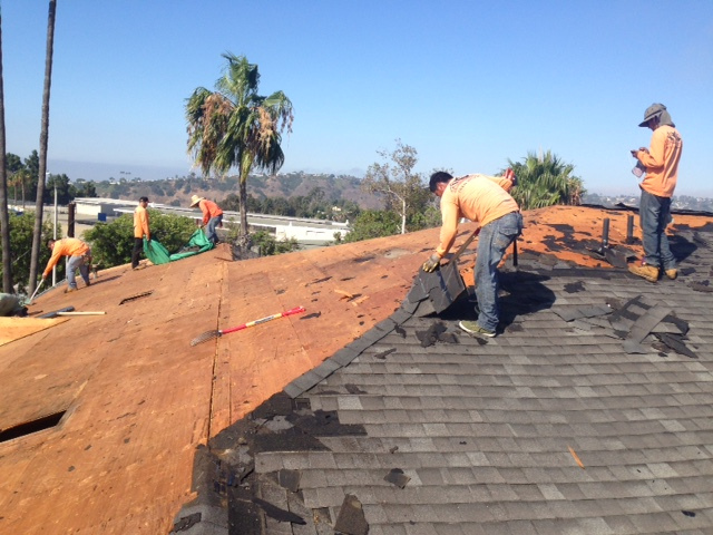 roof inspection on ladder