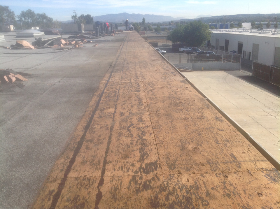 asphalt shingle roof closeup