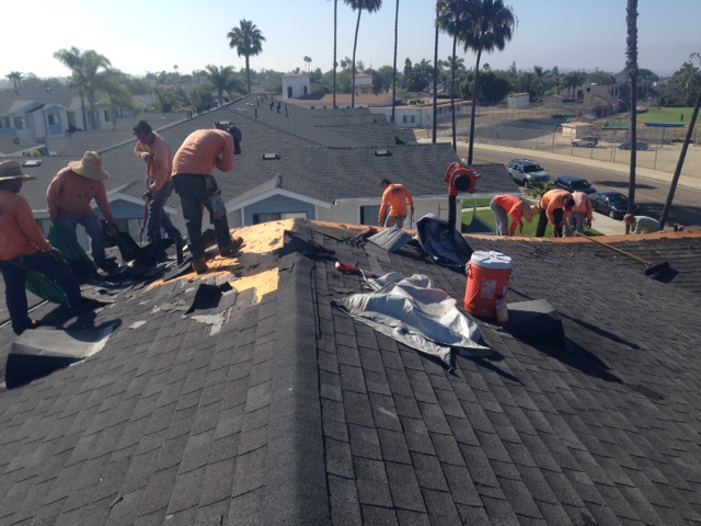 asphalt shingle roof closeup